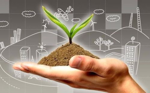 國(guó)內(nèi)軟件外包公司選擇哪家比較好